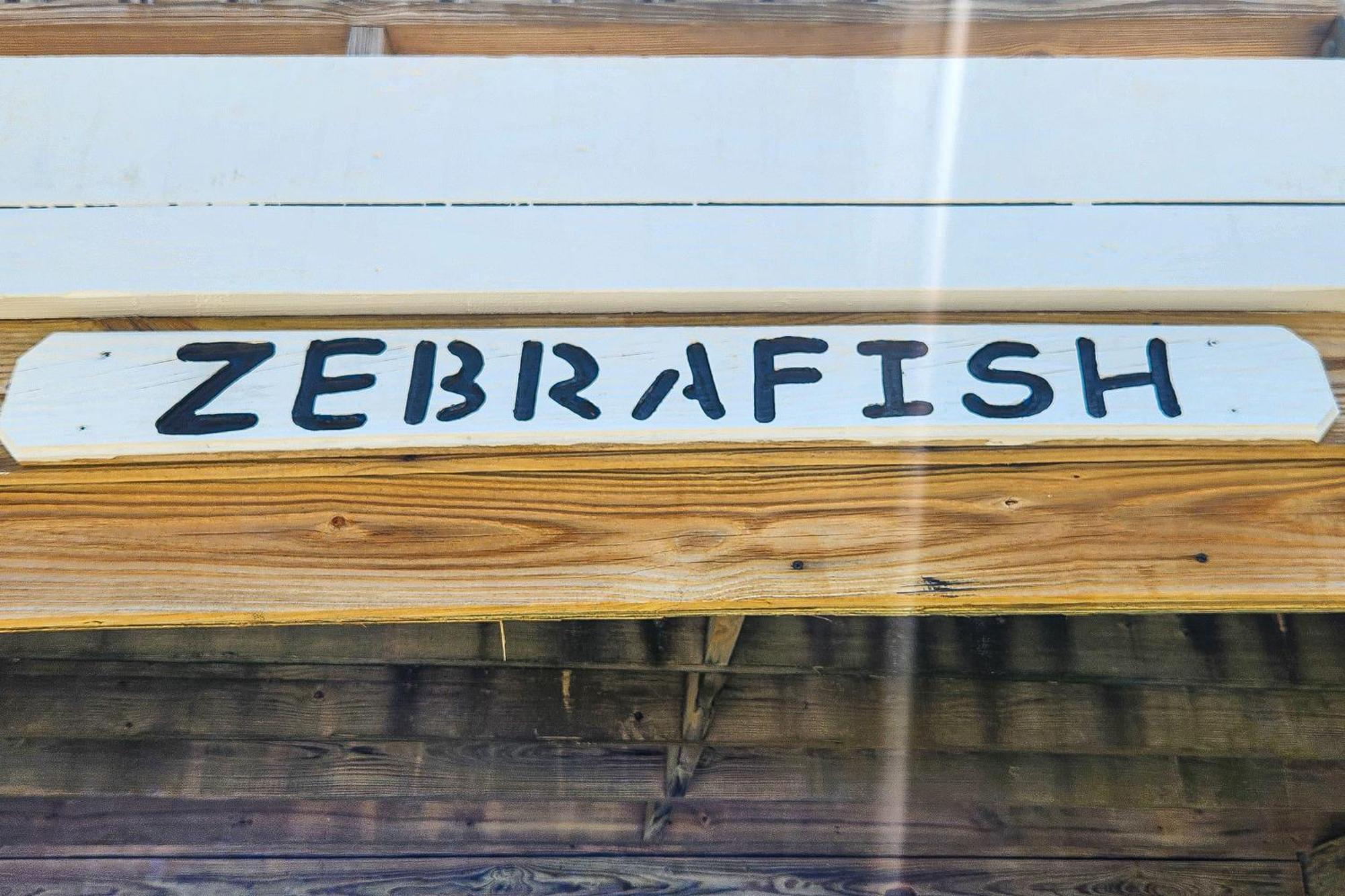 בקסטון Yellowfin & Zebrafish חדר תמונה